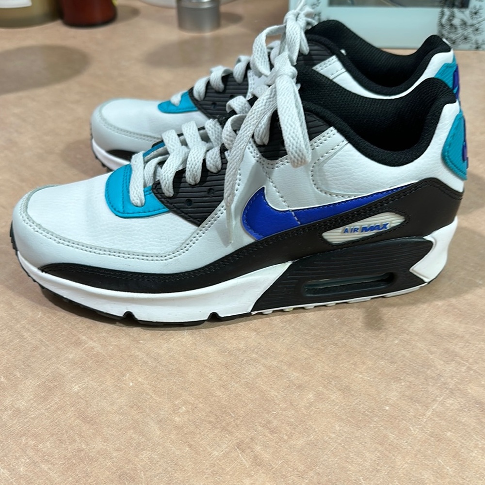 Nike Air Max Sneakers in White and Blue